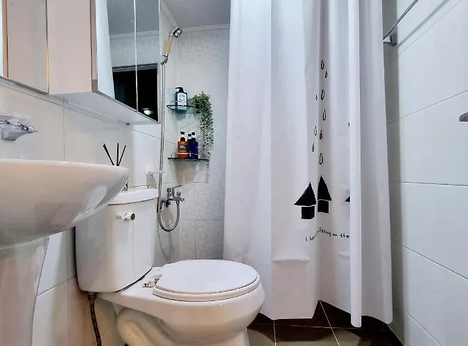 Hongdae Sky View Private Roof Garden 2br 2qb 1ssb 합정역 5분 단독하늘정원 Villa *