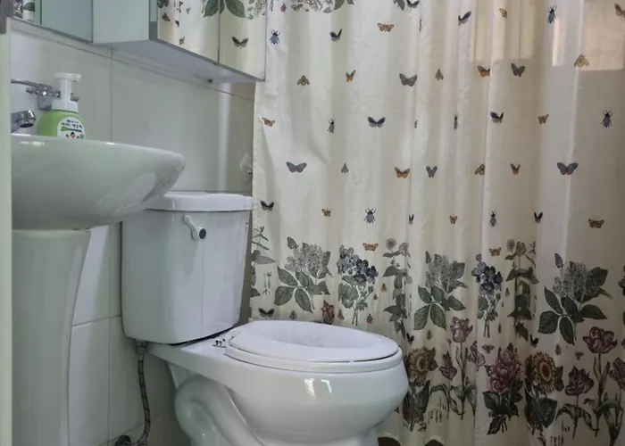 Villa Hongdae Sky View Private Roof Garden 2br 2qb 1ssb 합정역 5분 단독하늘정원 Seoul